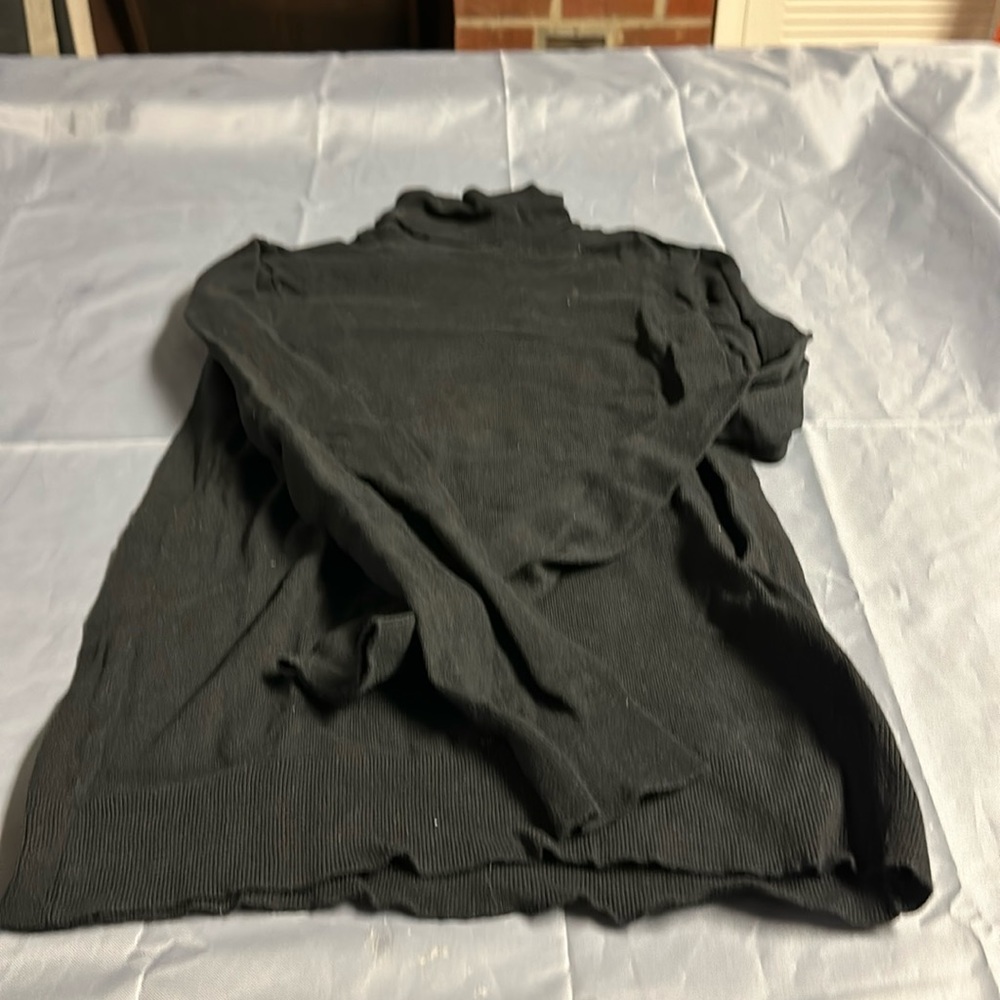 Gap turtleneck sweater